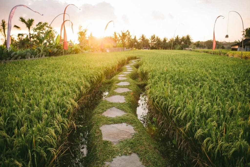 The Runik Ubud Экстерьер фото